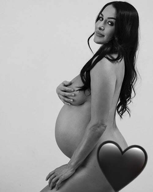nikki 18 - Nikki Bella and Brie Bella's naked photoshoot as they flaunt their baby bumps.