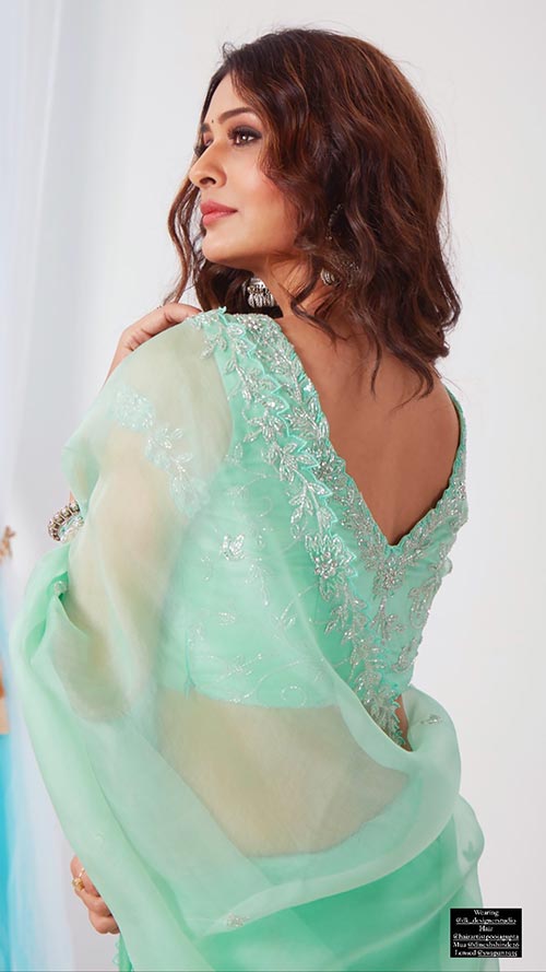 payal 6 - RX100 actress, Payal Rajput, sizzles in this sheer simple saree.