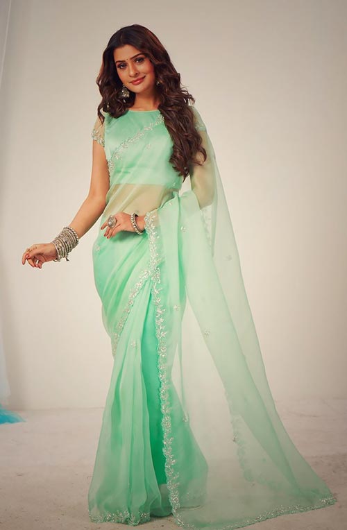 payal 9 - RX100 actress, Payal Rajput, sizzles in this sheer simple saree.