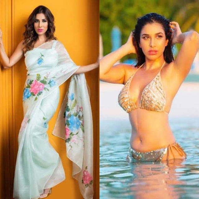 sophie choudry saree bikini sexy body - 10 Indian actresses in saree vs bikini - part 1.